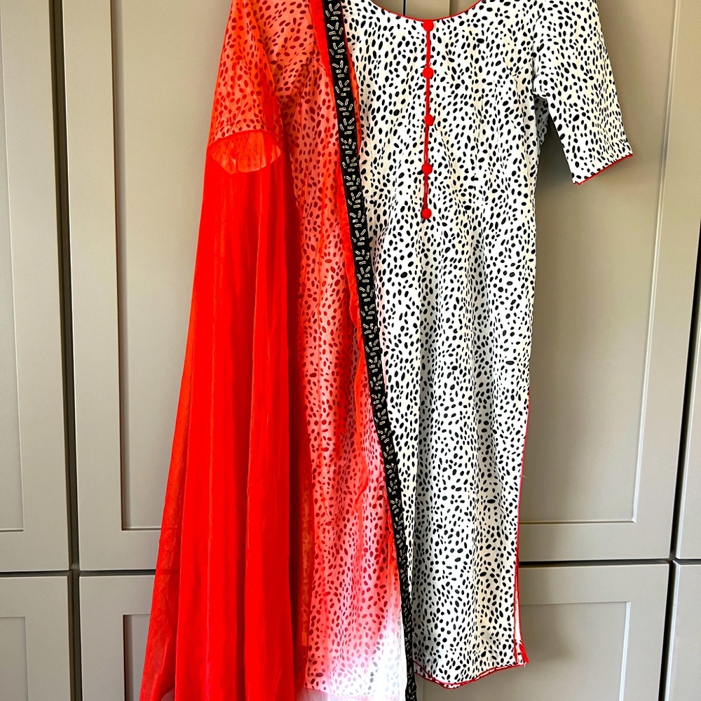 Punjabi/Indian/ Pakistani Salwar Kameez, Lehenga Choli, Pant Suit, Anarkali